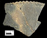 Keyser pie crust rim sherd from Delaware site 7-KF-12/30-Courtesy of the Delaware State Museums.